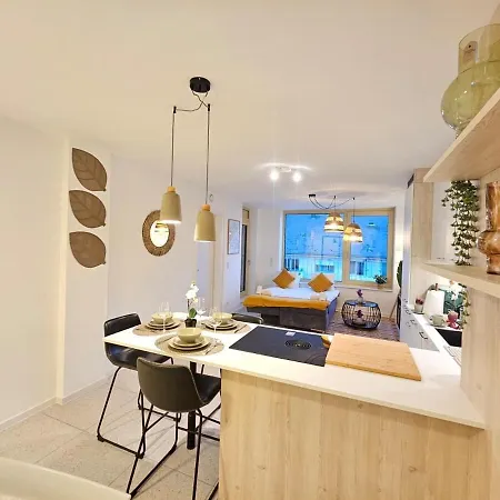 New 2 Bedrooms Flat In Limpertsberg Center Lüksemburg